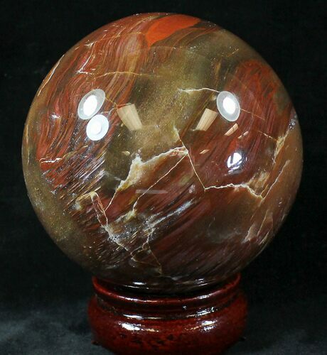 Colorful Petrified Wood Sphere #20644
